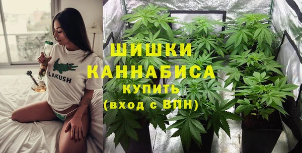индика Аркадак