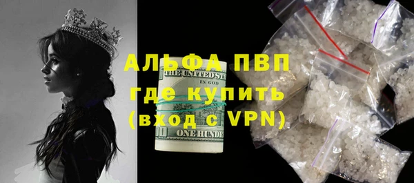 apvp Алзамай