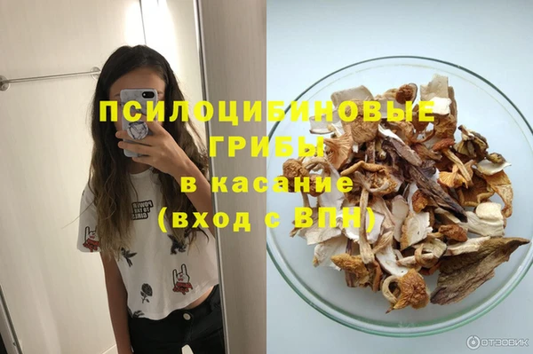 apvp Алзамай