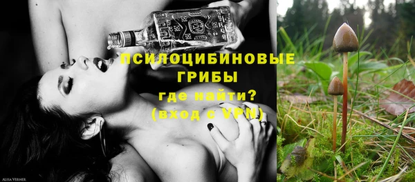 apvp Алзамай