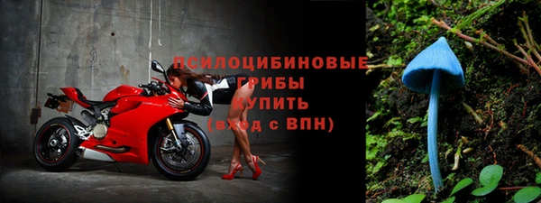 индика Аркадак