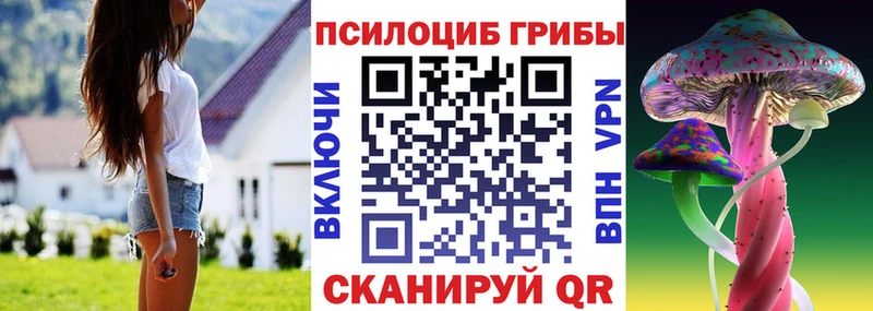 Псилоцибиновые грибы мицелий  закладки  Междуреченск 
